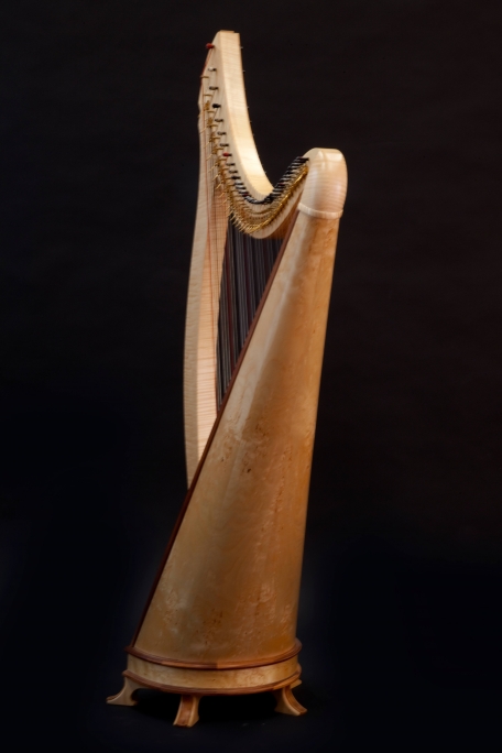 Isabelle de Spoelberch La harpe de Tara