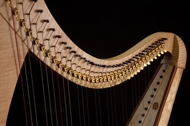 Isabelle de Spoelberch La harpe de Tara