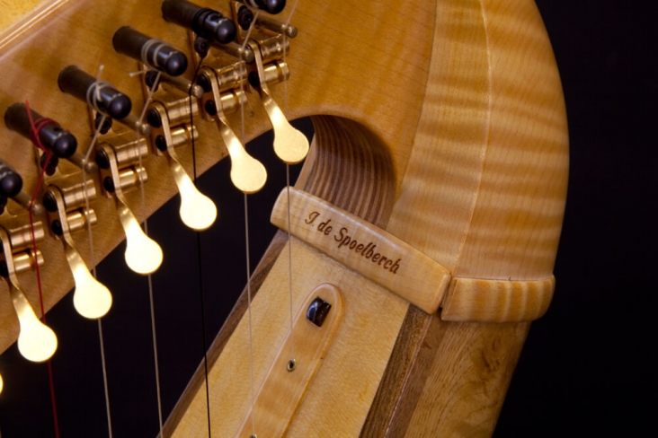 Isabelle de Spoelberch La harpe de Tara