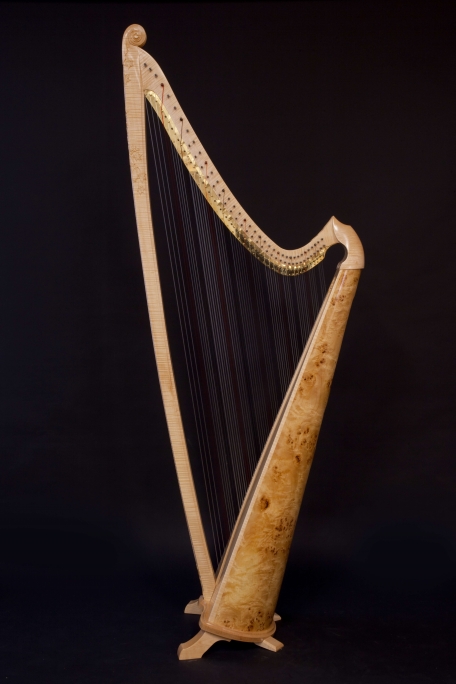Isabelle de Spoelberch Harpe Triple Galloise