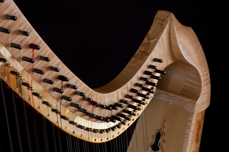 Isabelle de Spoelberch Harpe Triple Galloise