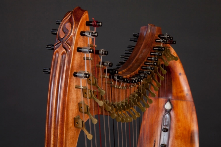 Isabelle de Spoelberch Harpe gothique
