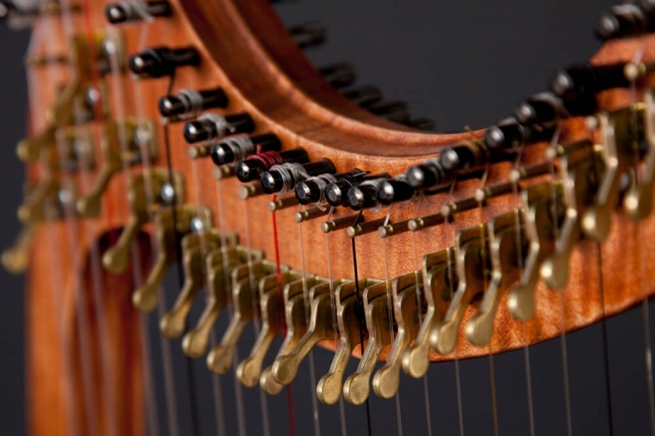 Isabelle de Spoelberch Harpe gothique