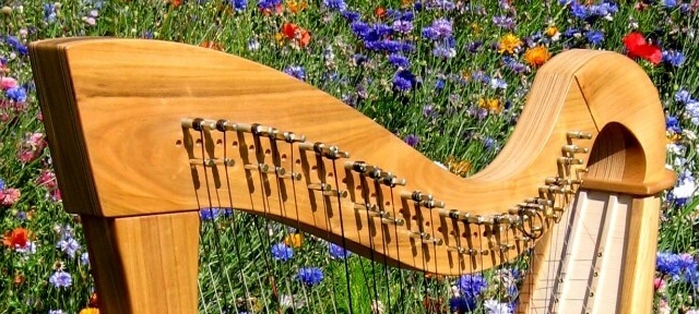 Isabelle de Spoelberch Brussels Harp Festival