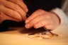 Isabelle de Spoelberch Ambiance d’atelier